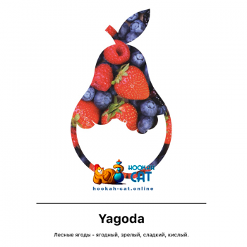 Табак для кальяна MattPear Classic Yagoda (МэтПир Классик Лесные Ягоды) 50г - фото 1